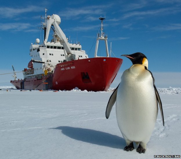 Record Antarctic sea ice still ‘a mystery’